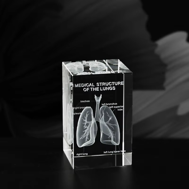Lung Anatomy Crystal Model