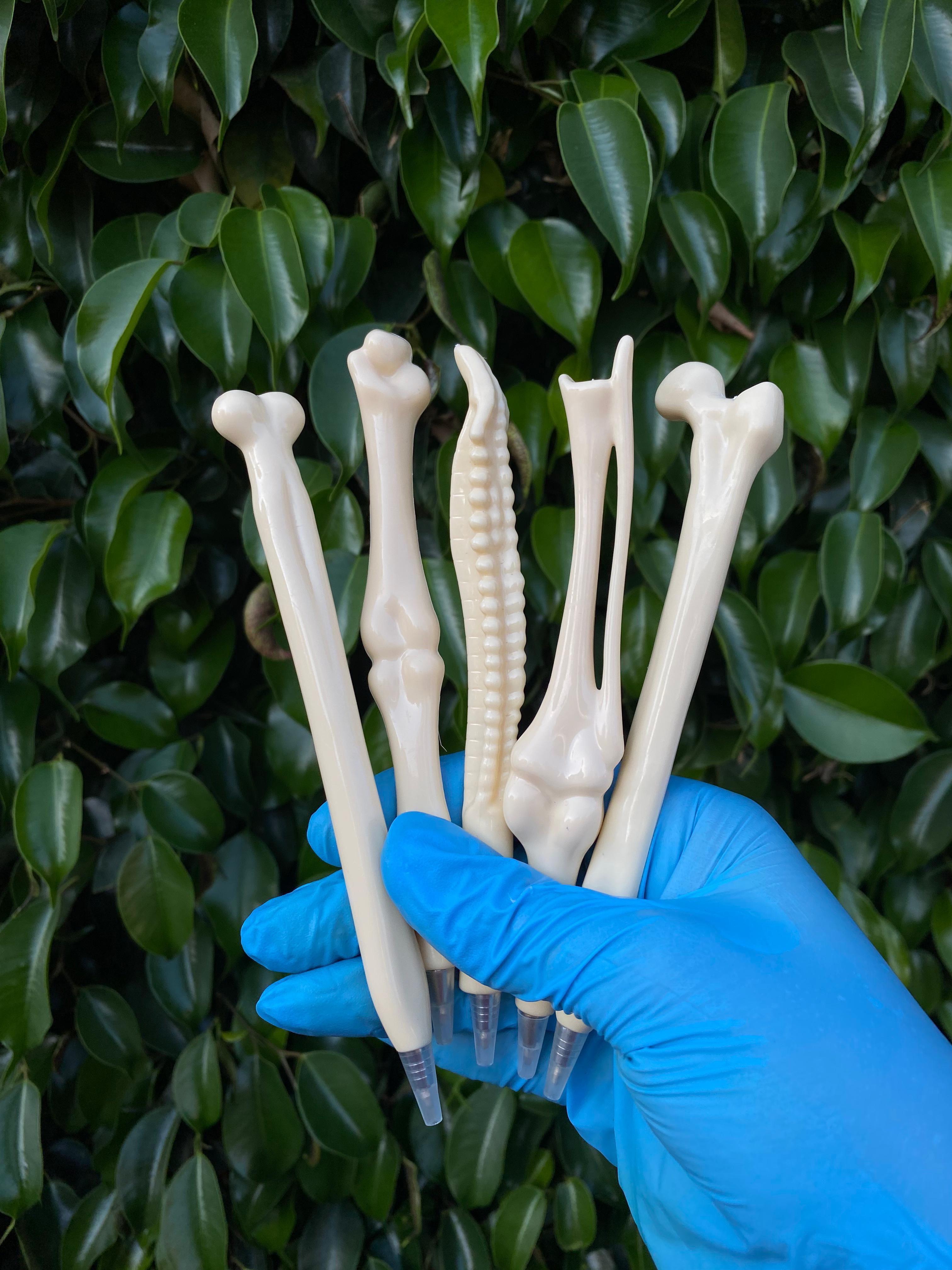 Bone Pens
